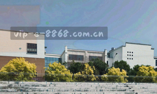 网络节点连接抽象图，展示数据链路与安全防护体系